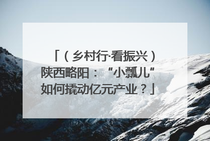 （乡村行·看振兴）陕西略阳：“小瓢儿”如何撬动亿元产业？