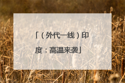 （外代一线）印度：高温来袭