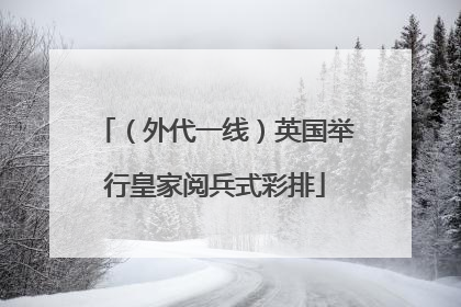 （外代一线）英国举行皇家阅兵式彩排