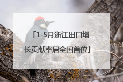 1-5月浙江出口增长贡献率居全国首位