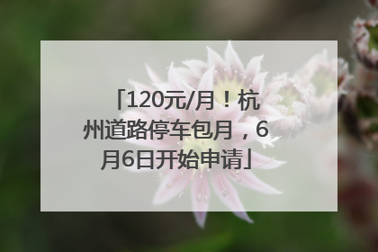 120元/月！杭州道路停车包月，6月6日开始申请