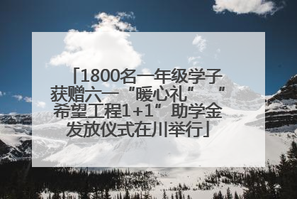 1800名一年级学子获赠六一“暖心礼” “希望工程1+1”助学金发放仪式在川举行