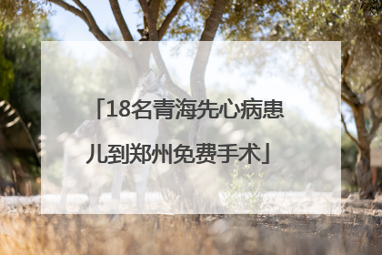18名青海先心病患儿到郑州免费手术