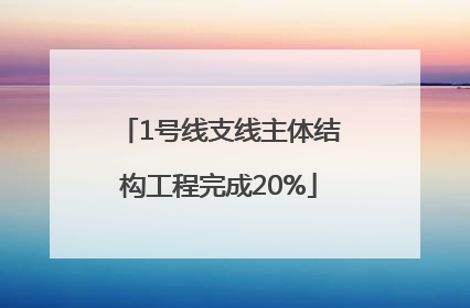1号线支线主体结构工程完成20%