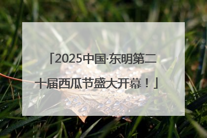 2025中国·东明第二十届西瓜节盛大开幕！