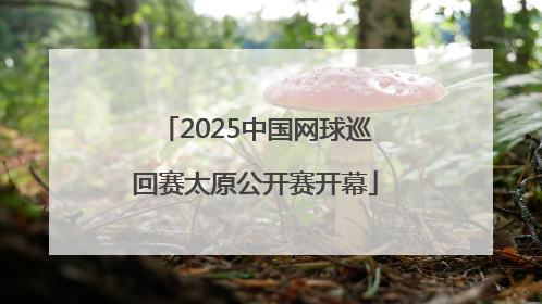 2025中国网球巡回赛太原公开赛开幕