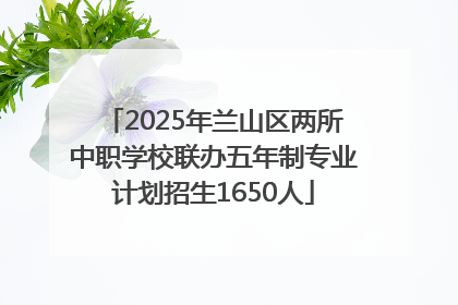 2025年兰山区两所中职学校联办五年制专业计划招生1650人