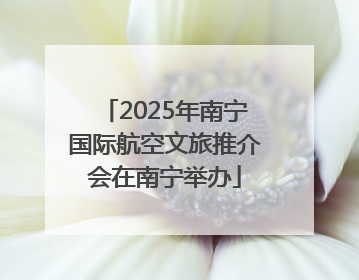 2025年南宁国际航空文旅推介会在南宁举办