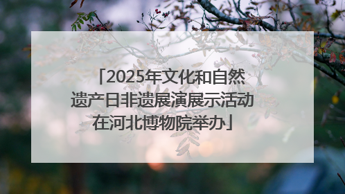 2025年文化和自然遗产日非遗展演展示活动在河北博物院举办