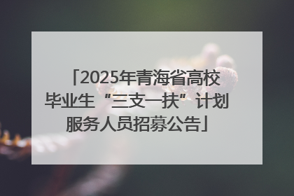 2025年青海省高校毕业生“三支一扶”计划服务人员招募公告