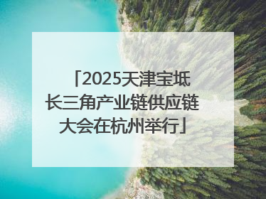 2025天津宝坻长三角产业链供应链大会在杭州举行