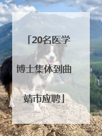 20名医学博士集体到曲靖市应聘