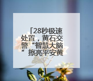 28秒极速处置，黄石交警“智慧大脑”擦亮平安黄石新名片