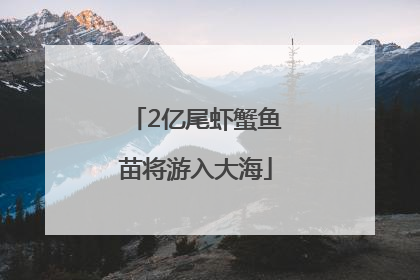 2亿尾虾蟹鱼苗将游入大海