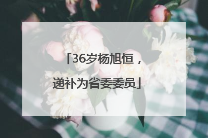 36岁杨旭恒，递补为省委委员