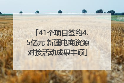 41个项目签约4.5亿元 新疆电商资源对接活动成果丰硕