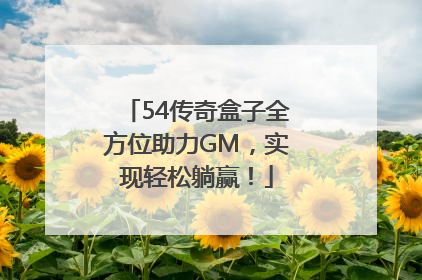 54传奇盒子全方位助力GM，实现轻松躺赢！