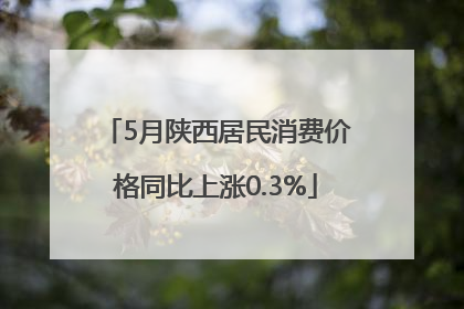 5月陕西居民消费价格同比上涨0.3%