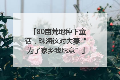 80亩荒地种下童话，珠海这对夫妻“为了家乡我愿意”