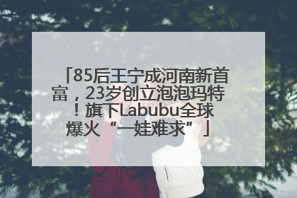 85后王宁成河南新首富，23岁创立泡泡玛特！旗下Labubu全球爆火“一娃难求”