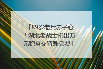 89岁老兵赤子心！湖北老战士捐出万元积蓄交特殊党费