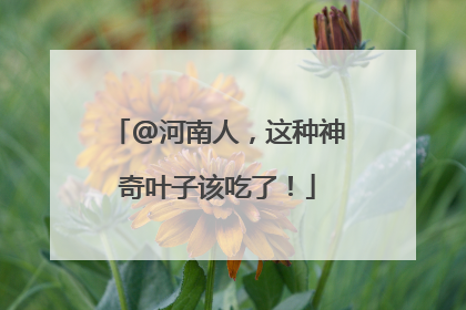 @河南人，这种神奇叶子该吃了！