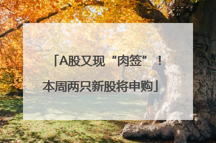 A股又现“肉签”！本周两只新股将申购