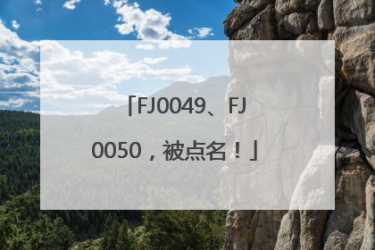 FJ0049、FJ0050，被点名！