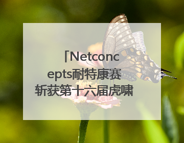 Netconcepts耐特康赛斩获第十六届虎啸奖“年度综合服务商”大奖