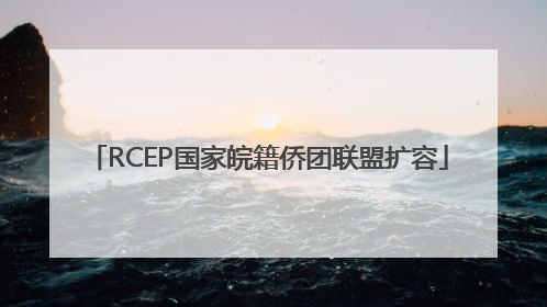 RCEP国家皖籍侨团联盟扩容